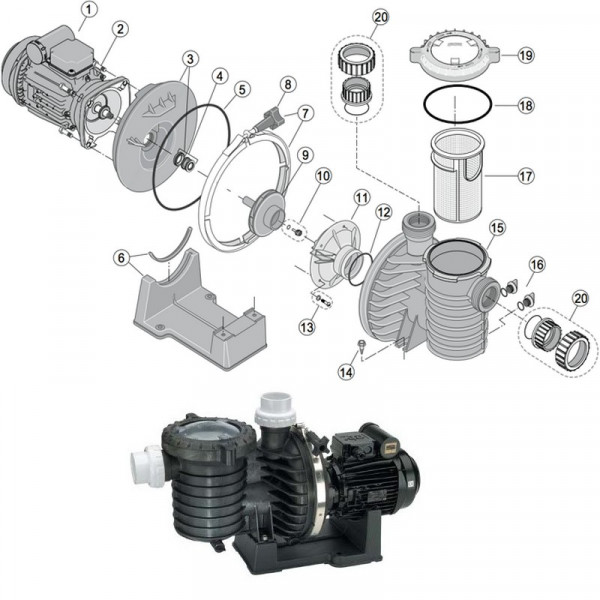 Eclaté pour pompe STA RITE 5P6R / STRHD