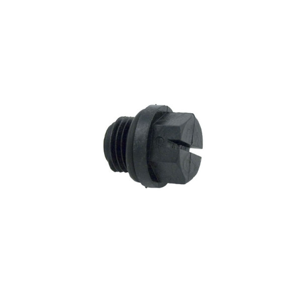 Purge pour pompe Hayward RS II / Super II