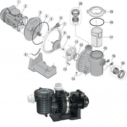 Turbine pompe Sta Rite 5P6R 2