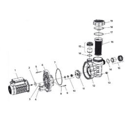 17. Joint de couvercle pour pompe Aqua Plus / Streamey